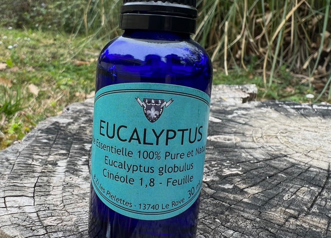 Huile Essentielle Eucalyptus Globulus 30 ml 100 % Pure et Naturelle