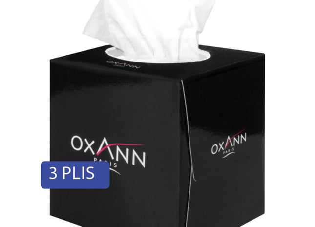 Mouchoirs 3 Plis par 60 en Boites Cubiques par 24