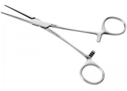Pince Kocher Droite Sans Griffe 14 cm