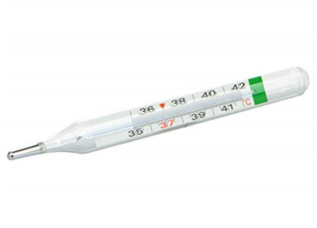 Thermomètre Ecologique Vedo Ecoplus Pic